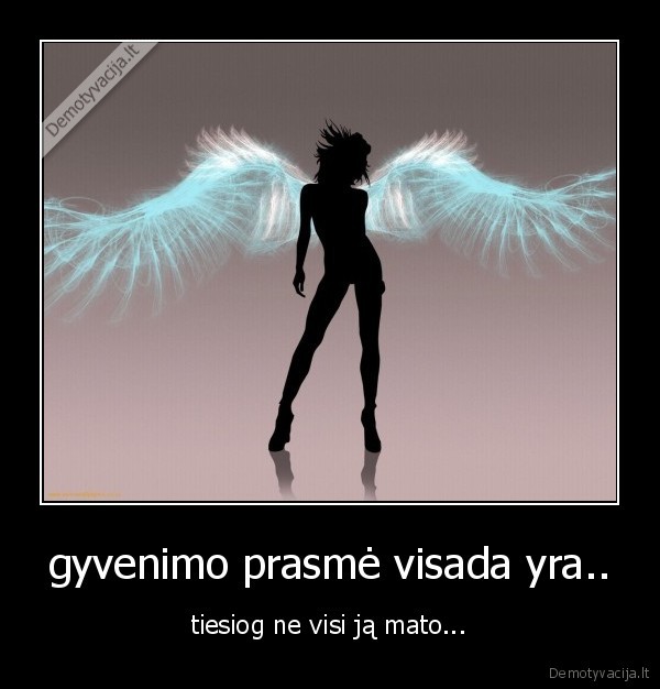 gyvenimo prasmė visada yra..