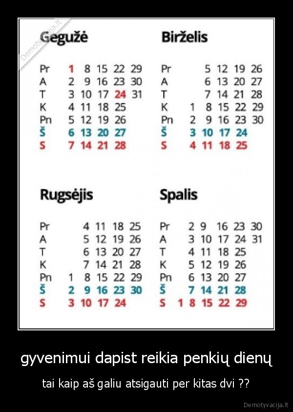gyvenimui dapist reikia penkių dienų