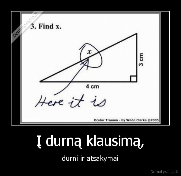 matematika,atsakyti,durnas,klausimas