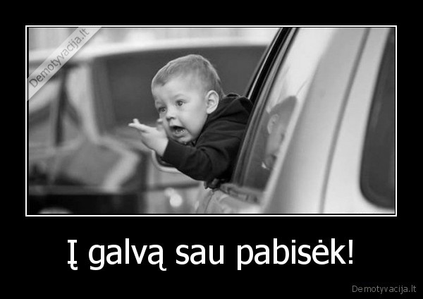 bibseti,masinos,automobiliai