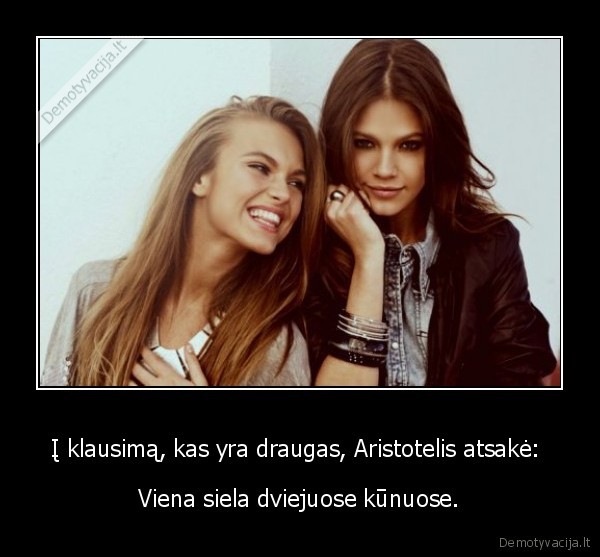 Į klausimą, kas yra draugas, Aristotelis atsakė: 