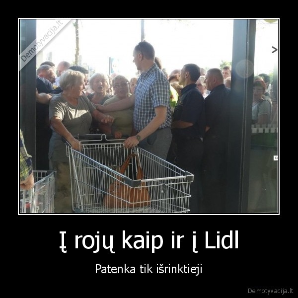 lidl,rojus,parduotuve