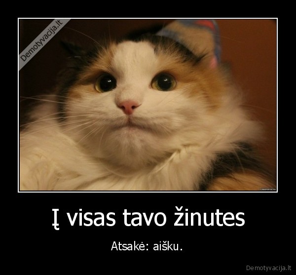 atsakyti,zinutes,uzpisa,aisku