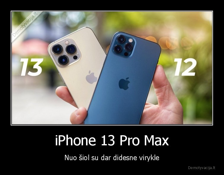 iPhone 13 Pro Max