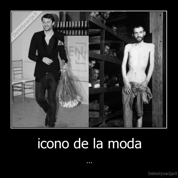icono de la moda