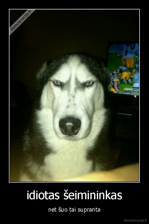 idiotas šeimininkas