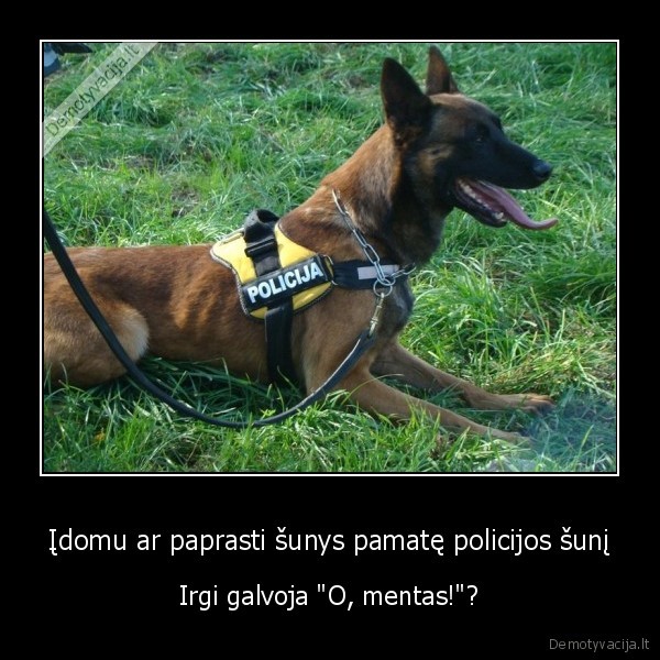 policijos, suo,tarnybinis, suo