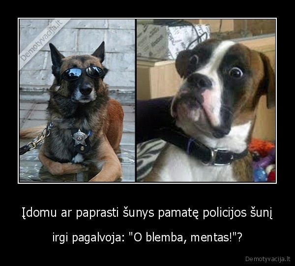 policijos, suo,issigandes, suo