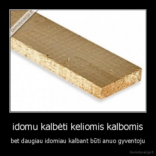 idomu kalbėti keliomis kalbomis