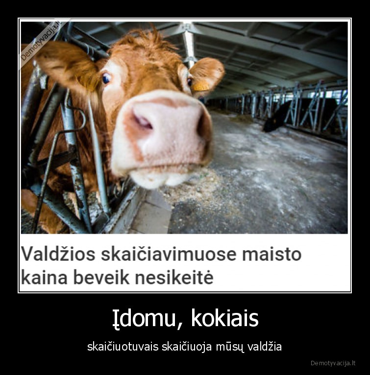 skaiciuotuvai,maistas,kainos,aktualijos