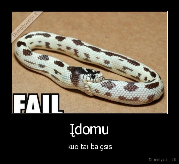 fail,gyvate,snake,epic, fail,snake, fail,gyvate, fail