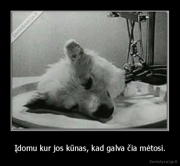 Įdomu kur jos kūnas, kad galva čia mėtosi.