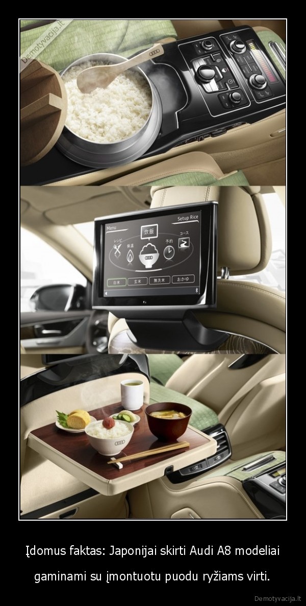 idomybes,idomus, faktas