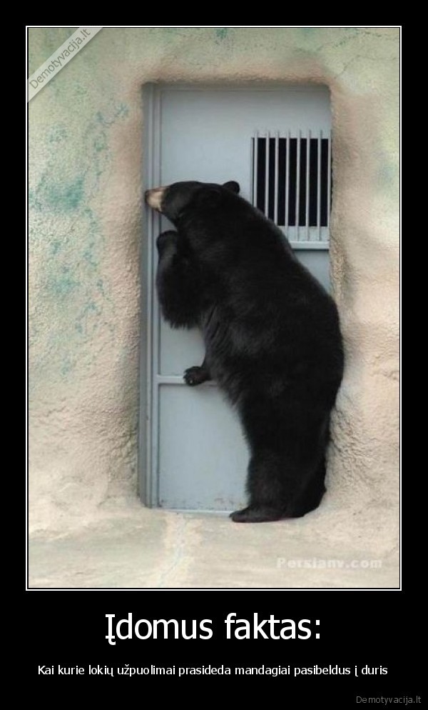 Įdomus faktas: