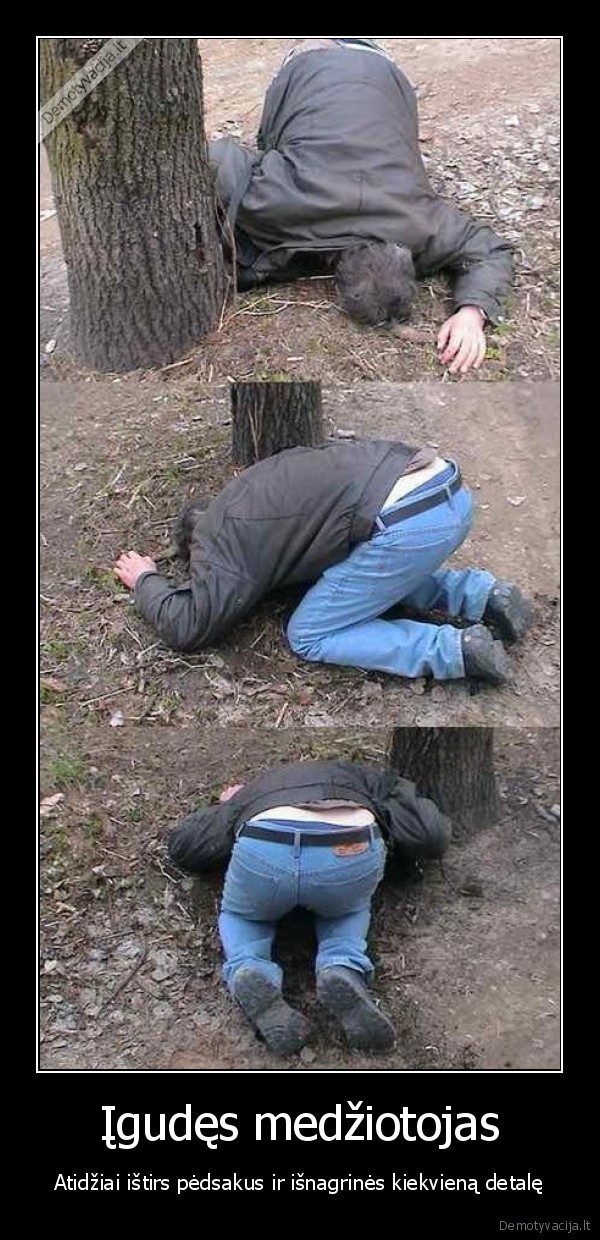 Įgudęs medžiotojas