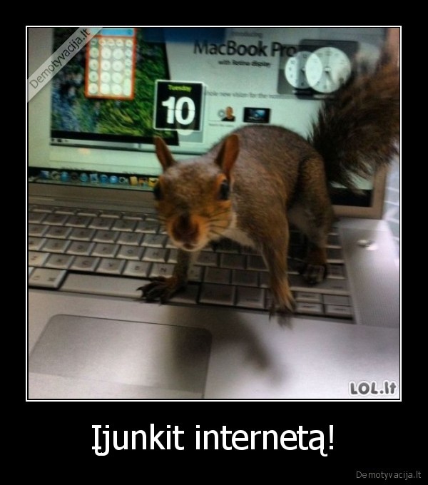 Įjunkit internetą!