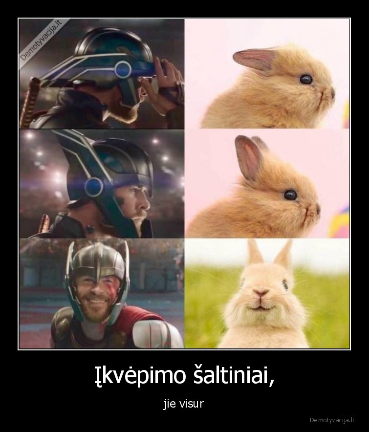 ikvepimas,zuikis,salmas