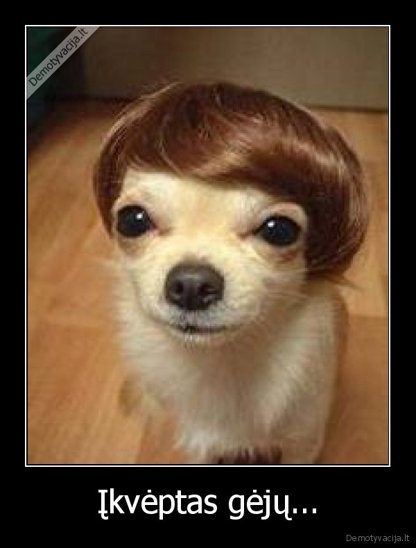 Įkvėptas gėjų...