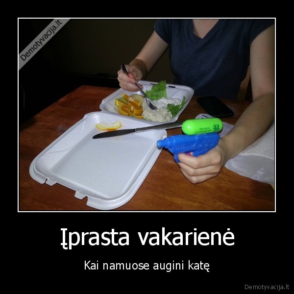 maisto, saugojimas,maisto, sargybinis