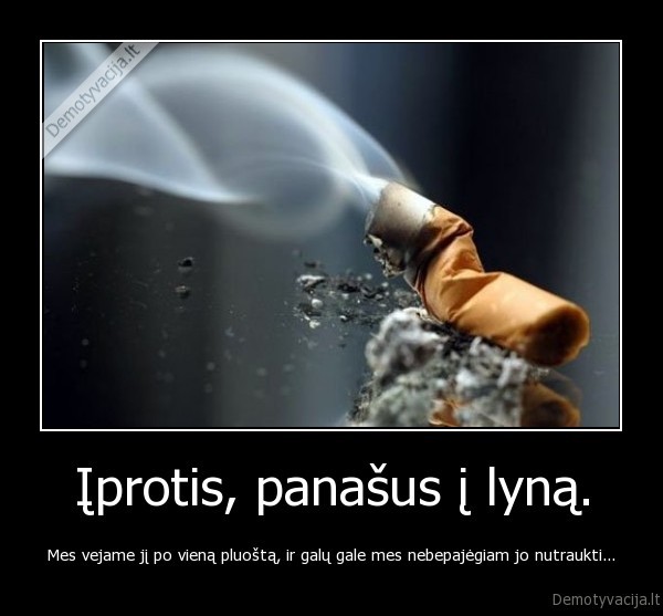iprotis,rukymas