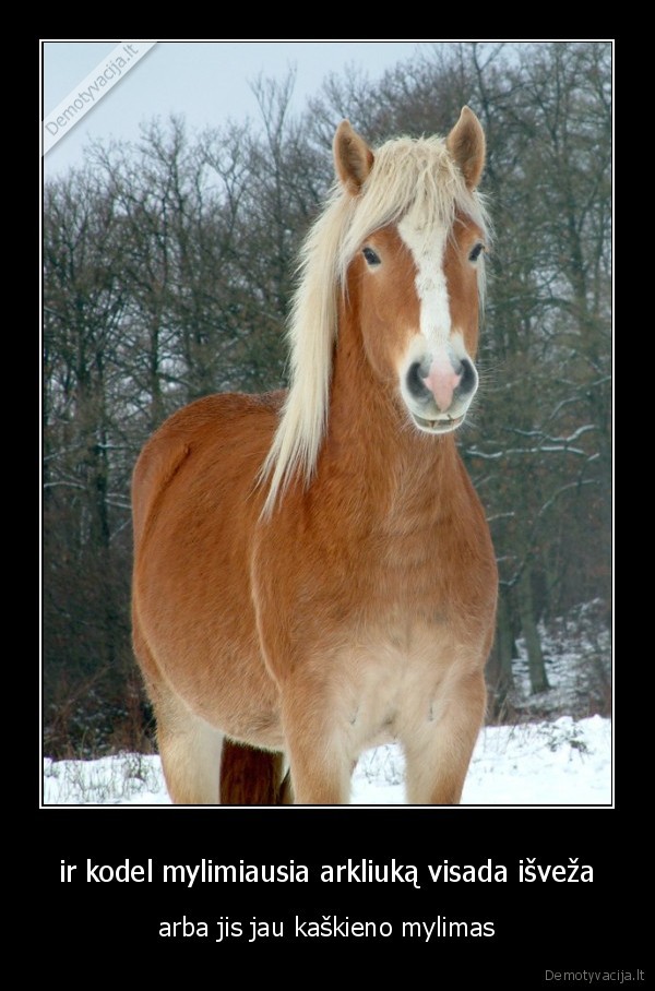 man, mylimiausias, griausmas, bet, gaila, ji, jau, myli, kita, ir, dar, buvo, baltakartis