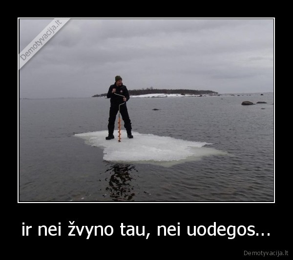zvejys