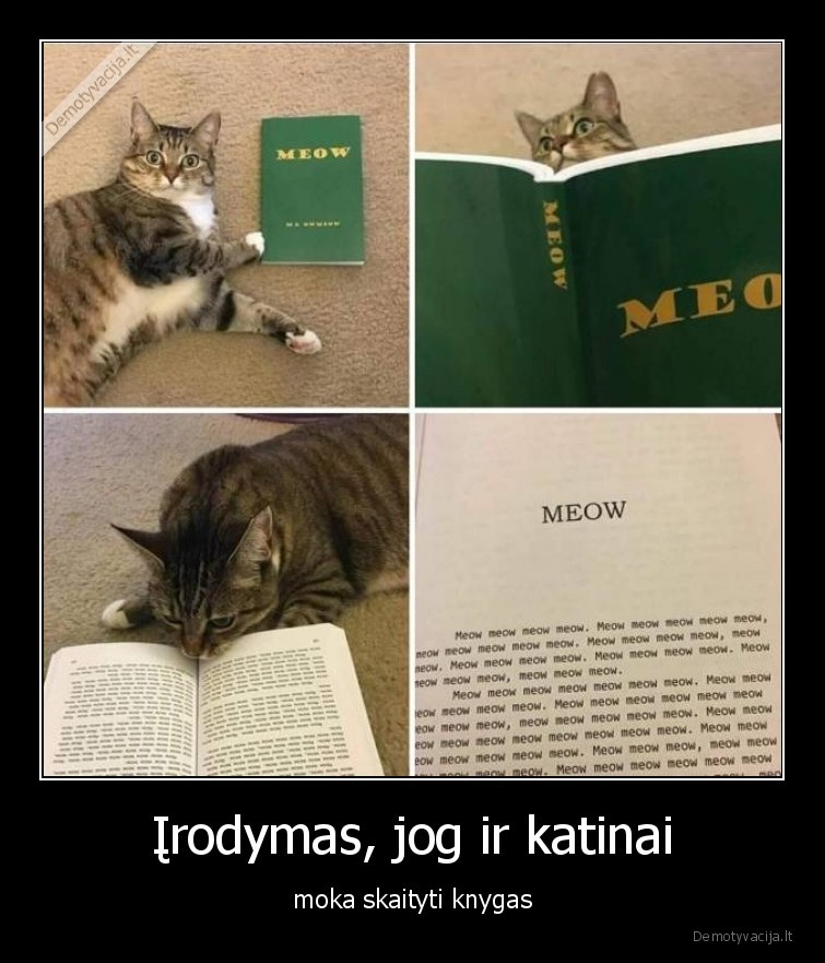 kates,knygos,meow,moka, skaityti