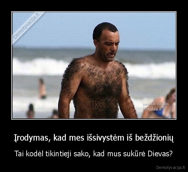 Įrodymas, kad mes išsivystėm iš beždžionių