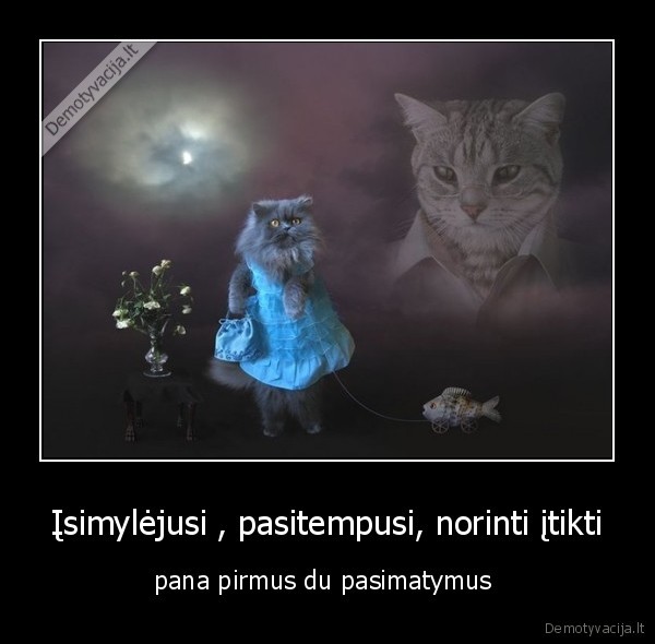 Įsimylėjusi , pasitempusi, norinti įtikti