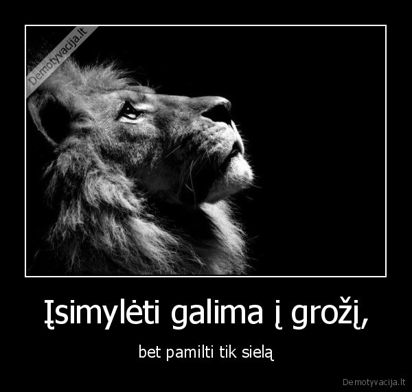 Įsimylėti galima į grožį,