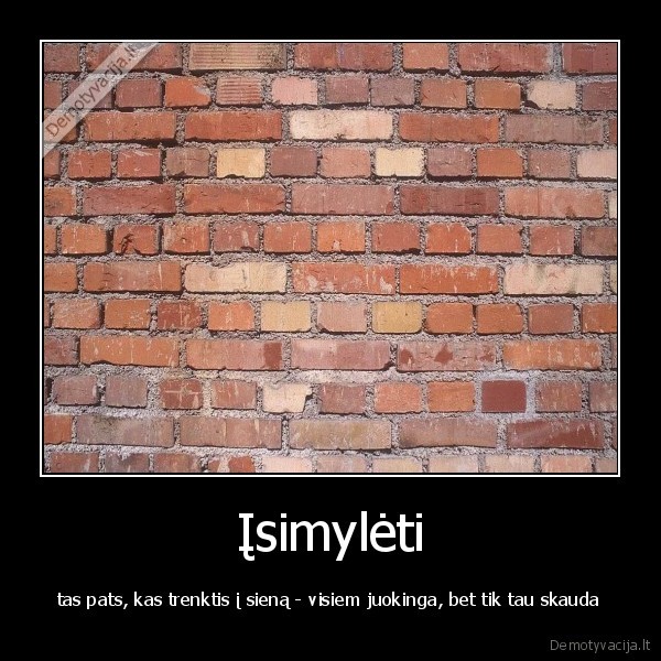 meile,nesamone,idiotai