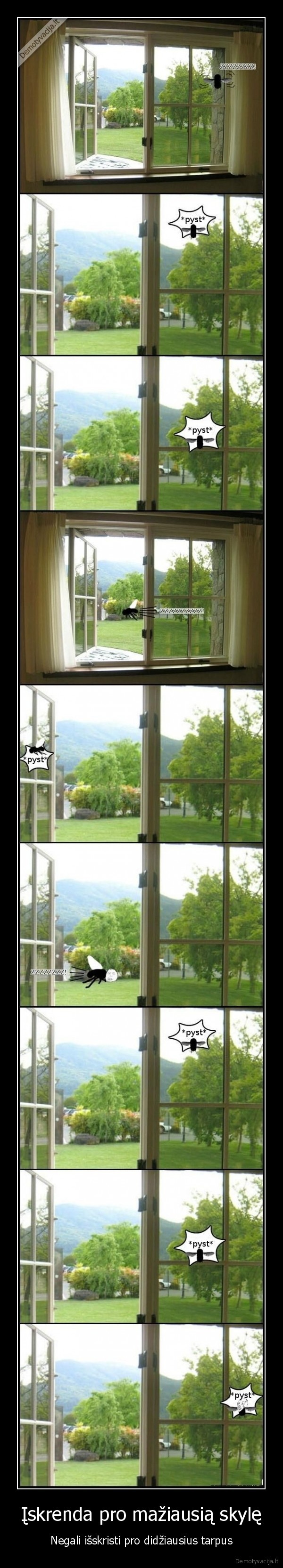 Įskrenda pro mažiausią skylę