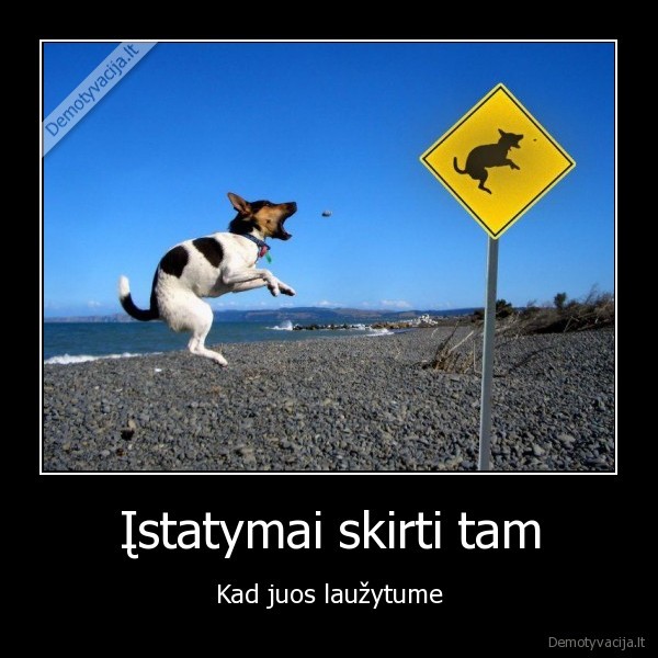 Įstatymai skirti tam