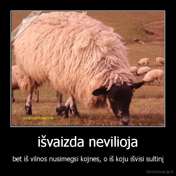 išvaizda nevilioja
