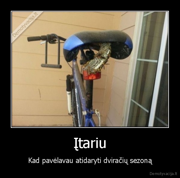dviratis,bites,korys