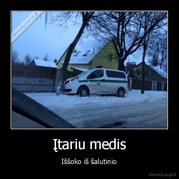 salutinis, kelias,policininkai, atsitrenke, i, medi