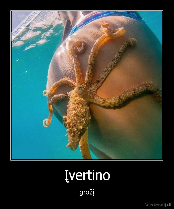 uzpakaliukas,astunkojis