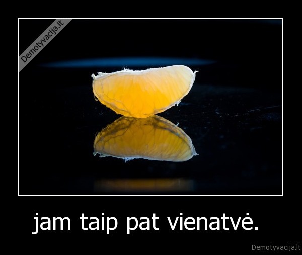 jam taip pat vienatvė. 