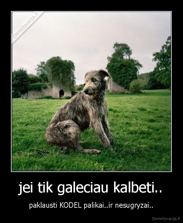 jei tik galeciau kalbeti..