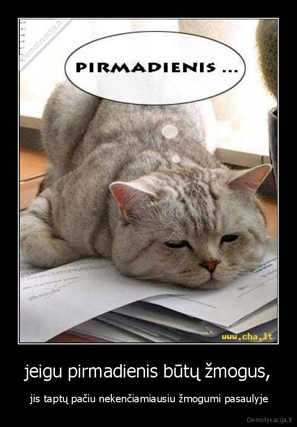 niekas,nemegsta,pirmadienio