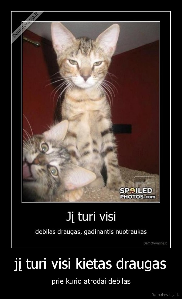 jį turi visi kietas draugas