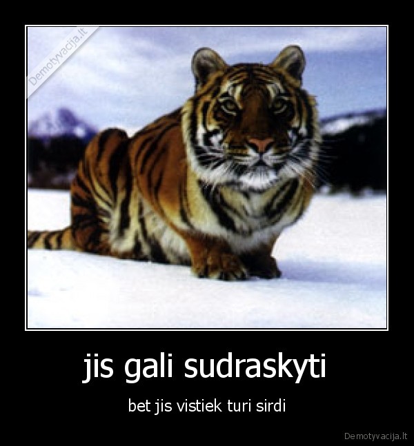 jis gali sudraskyti