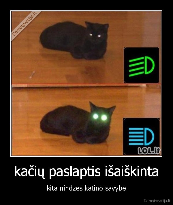 kačių paslaptis išaiškinta