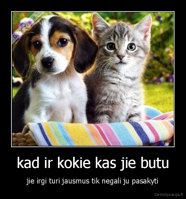 kad ir kokie kas jie butu