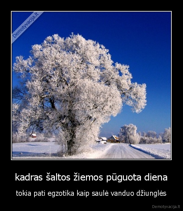 kadras šaltos žiemos pūguota diena