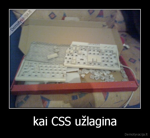 kai CSS užlagina