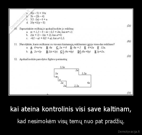 kontrolinis,prarasta, atmintis