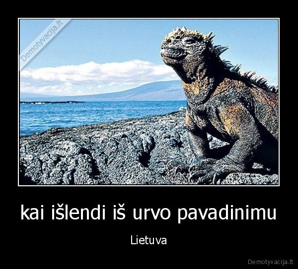 kai išlendi iš urvo pavadinimu