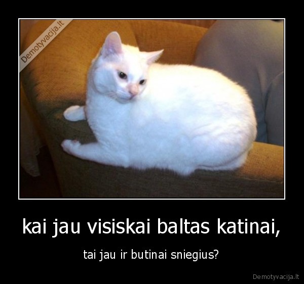 kai jau visiskai baltas katinai,