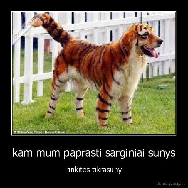 kam mum paprasti sarginiai sunys